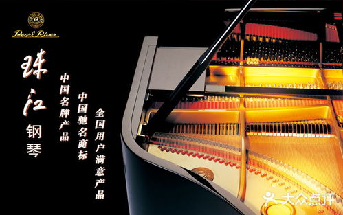 海知音刚琴行 海知韵琴行
