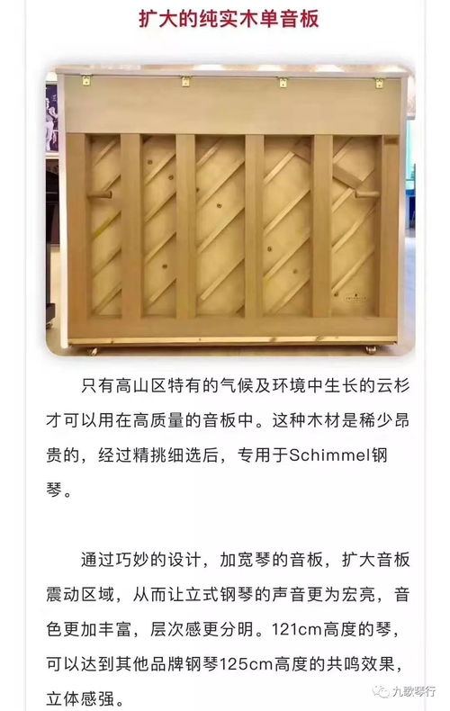 九歌琴行 共克时艰