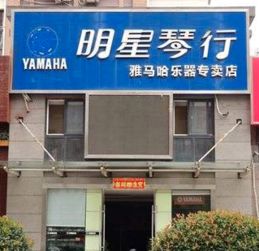 明星琴行加盟 加盟费 招商代理条件 电话 中国教育招商网