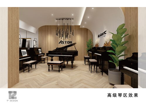 济南飞乐琴行 室内效果设计