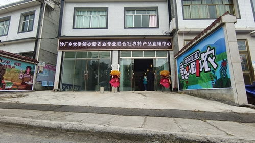 百里杜鹃管理区 党支部 抱团 合作社 联盟 实现集体村民双增收