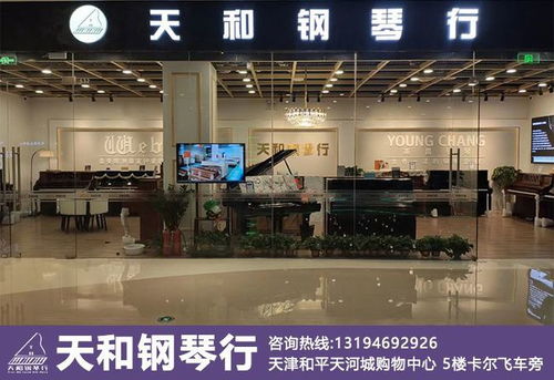 天津琴行去哪好 天津琴行哪家靠谱 天和钢琴行专业十一年