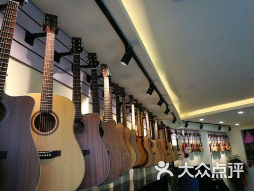 心乐琴行课程 价格 简介 怎么样 上海学习培训