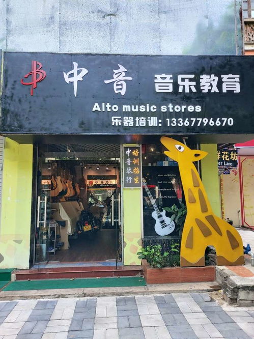 中音琴行乐器培训长期招生