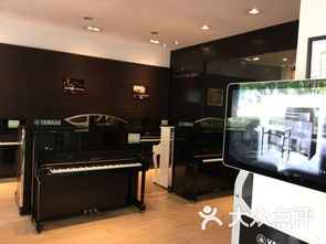 飞音琴行 雅马哈专卖店