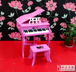兴文小蜗牛儿童乐器专卖