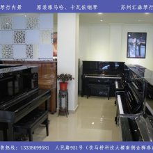 苏州汇森琴行 供应产品